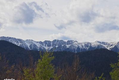 Casă cu 4 camere în Peștera - 14