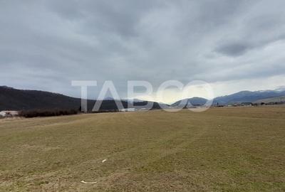 Teren intravilan 11.400 mp deschidere 45 ml in Talmaciu zona de case - 4