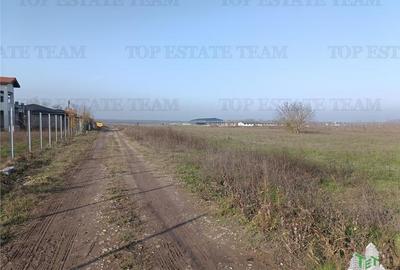 Super teren intravilan (Lot 1) la  DJ 101, loc. Gruiu IF, ideal pentru dezvoltat - 3