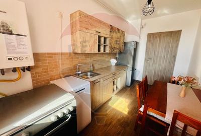 Inchiriez apartament 3 camere decomanda Ared Micalaca malul Muresului - 14