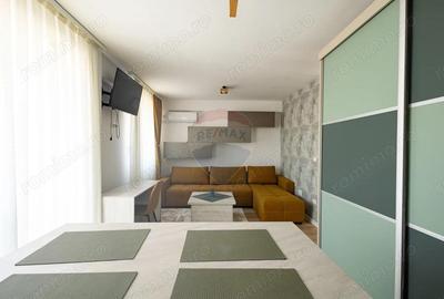 Garsoniera de inchiriat Mice?ti - Alba Iulia - 7