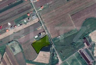 Teren intravilan de vanzare, 7020 mp, in Decebal - 1