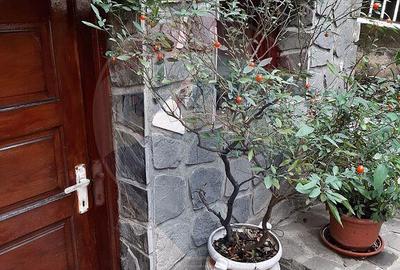 Vanzare casa Provita de Jos Prahova - 3