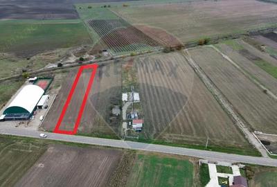 Teren de 1800 mp, în Mirceștii Vechi - 3