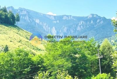 TEREN Izvoru Muntelui, langa orasul BICAZ - 8