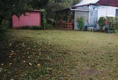 Proprietar-vand cabana cu livada teren mare-Stejeris-locatie deosebita - 10