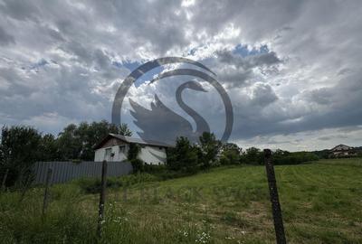 Hala de vanzare | 1.100mp I Boldesti-Scaieni - Randament ... - 12