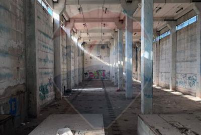 Inchiriere spa?iu industrial - 3