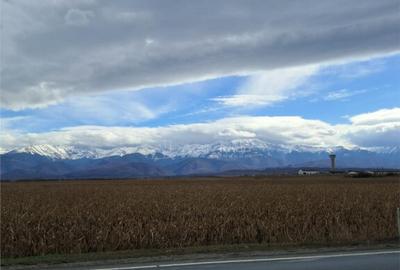 Teren 5000 mp langa E68 - 7