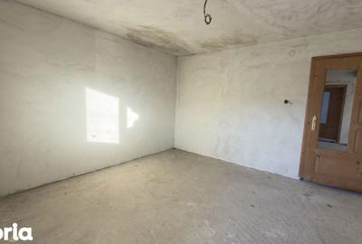 Casă cu 5 camere cu Teren 1186 Mp în Pietroșani - 4