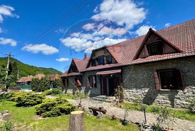 Pensiune cu 13 camere de vanzare in Bulz - 47