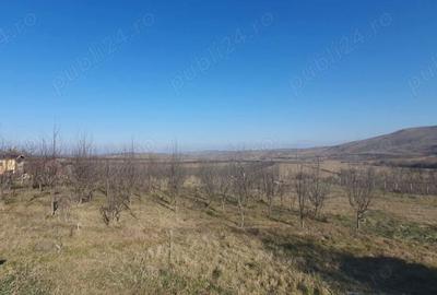 Teren de 3000 mp, în Boju - 2