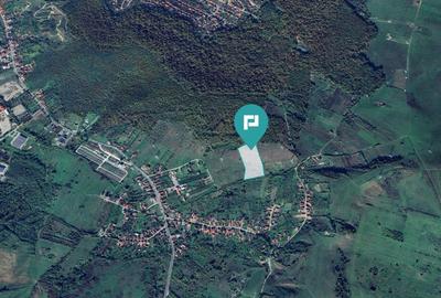 Teren agricol extravilan de 20082 mp, în Hășdat - 3
