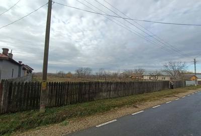 Teren în Ciupa-Mănciulescu - 2