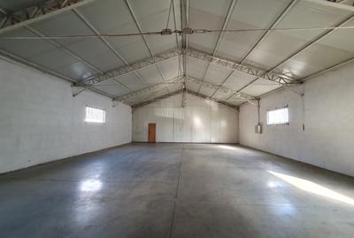 Hala 500 mp, 4,50 e/mp Hala 500 mp, 4,50 e/mp - 3