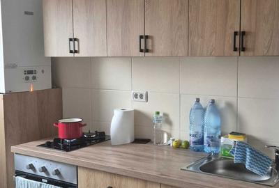 Garsonieră decomandată în Valea Ialomiței - 4