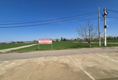 Teren Construcții intravilan de 530 mp, în Ciofliceni - 3