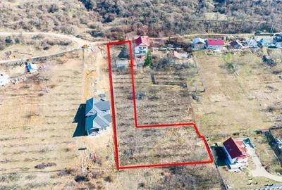 Teren Construcții intravilan de 2596 mp, în Pietrăria - 5