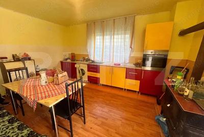 Casa individuala, zona Centrala, 10 ari teren, Prundu Bargaului - 12