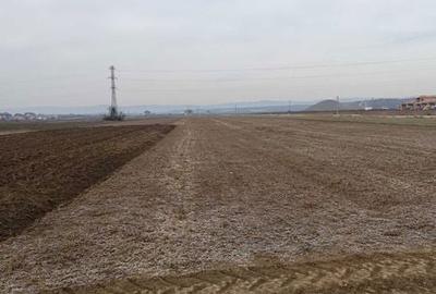 Teren de 4800 mp, în Mărăcineni - 3