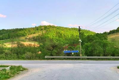 25.000 mp TEREN IDEAL AFACERE TURISM – AMENAJARE LAC DE PESCUIT, CIUCEA - CLUJ - 35