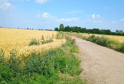 Spațiu comercial, în Valea Ursului - 4