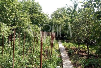 Casă individuală cu 7 camere cu Canalizare în Gheorgheni - 14