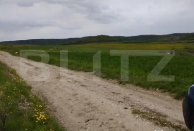 Teren de 3621 mp, în Petrești - 1