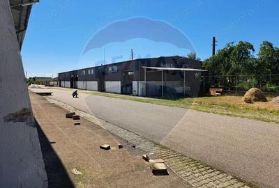 Spațiu comercial, de 2,500 mp, în Sângeorgiu de Pădure - 13