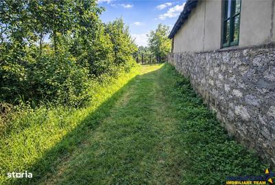 Spațiu comercial, în Greceanca - 3