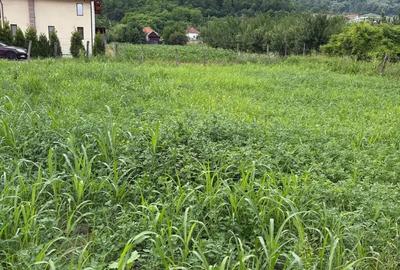 Teren Copacelu, 450mp - 4