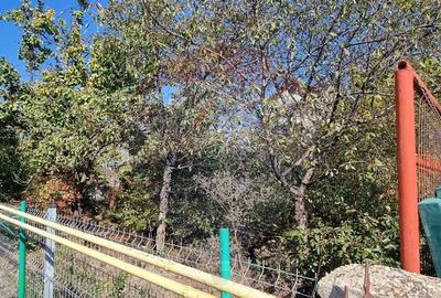 DE VANZARE Teren intravilan | 300mp | Damaroaia / Bucures... - 3