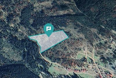 Teren 425 mp, Borsec - 1