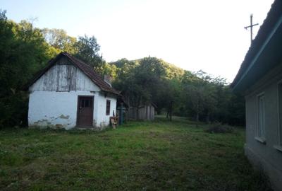 Casă cu 3 camere în Hălmagiu - 5