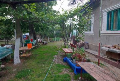 Casă cu 2 camere în Central