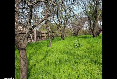 Spațiu comercial, în Nord