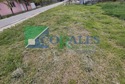 Teren Construcții intravilan de 1439 mp, în Moșnița Nouă - 5