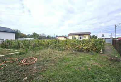 Teren de vanzare 1000mp in Stefanestii de Jos, la sosea si cu utilitati - 13