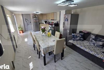 Casă cu 3 camere cu Teren 4700 Mp în Vințu de Jos - 14
