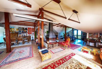 Proprietate unica, independenta energetic, zona Bucium Proprietate unica, independenta energetic, zona Bucium - 15