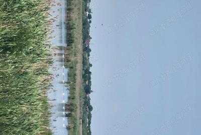 Teren de 250000 mp, în Comana - 2