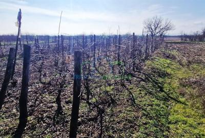 Casă cu 3 camere în Brădești - 1