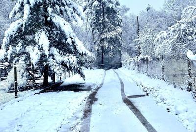 Teren pentru investitii 11.000 mp - 24