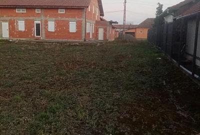 Casă cu 5 camere cu Teren 1000 Mp în Peciu Nou - 8