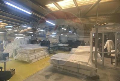 Complex industrial, pe str. Electrolizei, in Baia Mare, de vanzare - 9