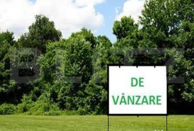 Teren de 3600 mp, în Central