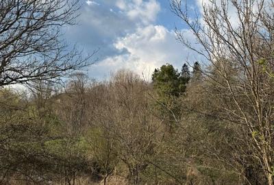 Casă cu 2 camere în Alțina - 2