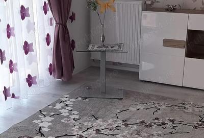 Coresi Kasper AP.de Inchiriat 2 camere 57 mp. - 5