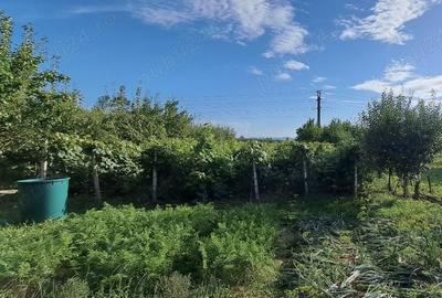 Casă cu 4 camere în Central - 10