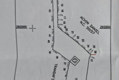 Teren intravilan 2500 mp cu vie, pomi ?i construc?ii Or?ova - 2